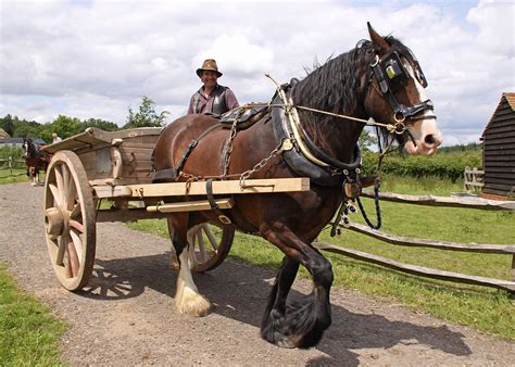 heavy horse drawn cart