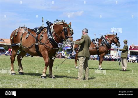 heavy horse shows 2023