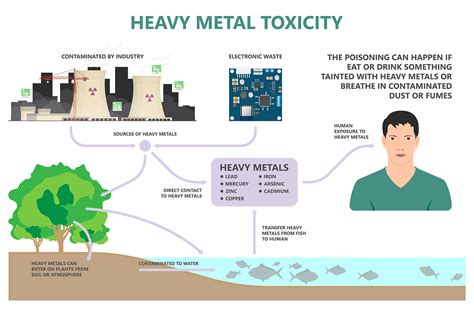 heavy metals panel