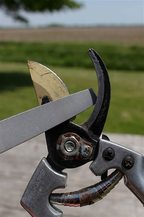 Hedge Shears Sharpening Service
