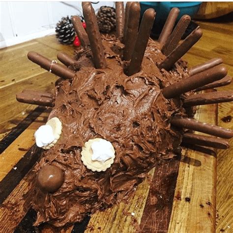 Hedgehog Cake Fail Original