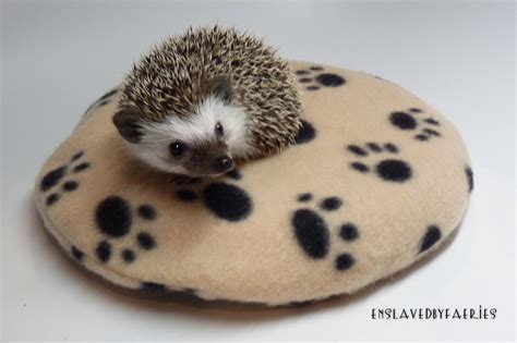 Hedgehog Heating Pad