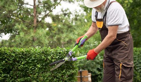 Hedges And Qualifiers