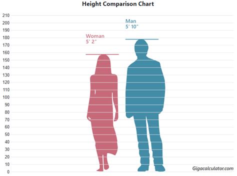 Height Comparison Chart Visual