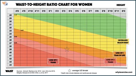 Height Waist Ratio Chart