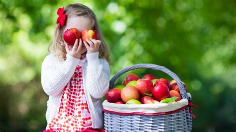 5 Places to Pick Apples this Fall Official Tourism & Travel