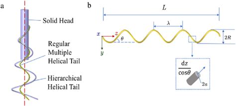 5 Ways Helical Shape