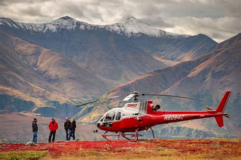 helicopter rides in denali alaska