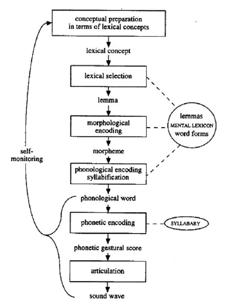 hellgren et al. 1999