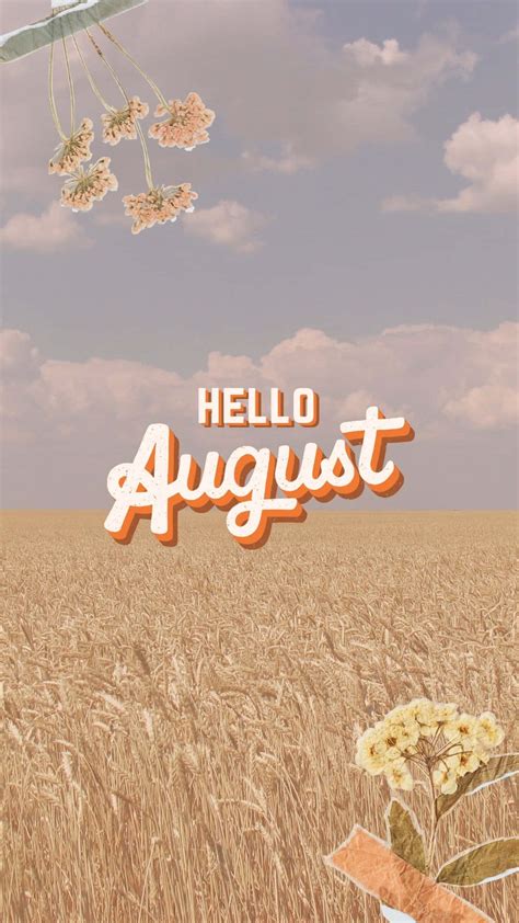 hello august aesthetic