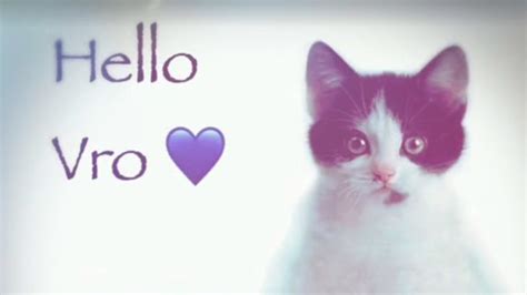 Hello Vro