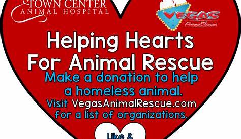 Helping Hearts & Healing Tails Animal Rescue | Stahlstown, PA | Chewy