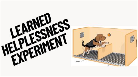 Helplessness Experiment Explained