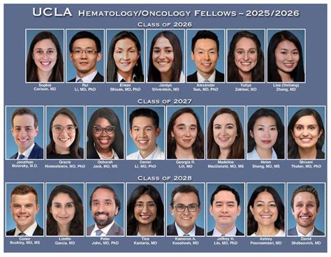 heme onc fellowship spreadsheet