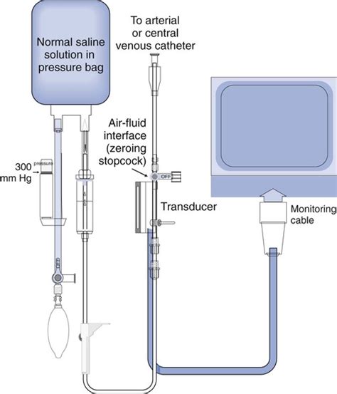 Hemodynamic Transducer