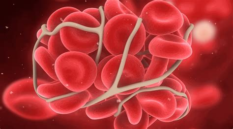 Hemostasis In Dentistry