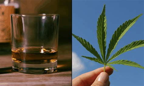 Hemp Drinks Vs Alcohol