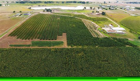 hemp farms in colorado