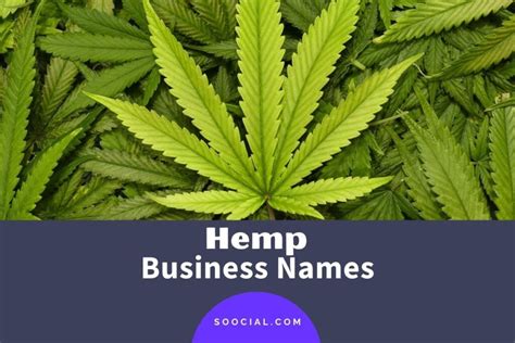 Hemp Store Names