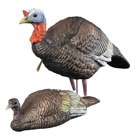 Hen Turkey Decoy Pack