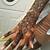 henna tattoo hand kaufen