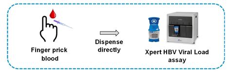 hep b viral load labcorp