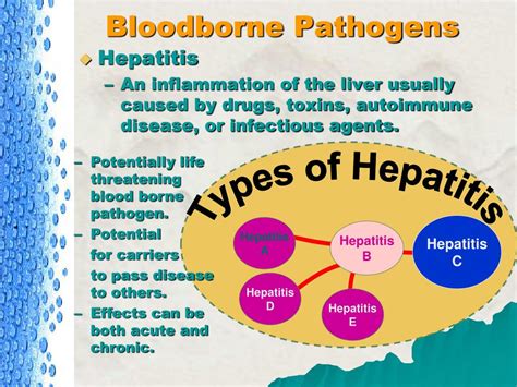 hepatitis a pathogen type