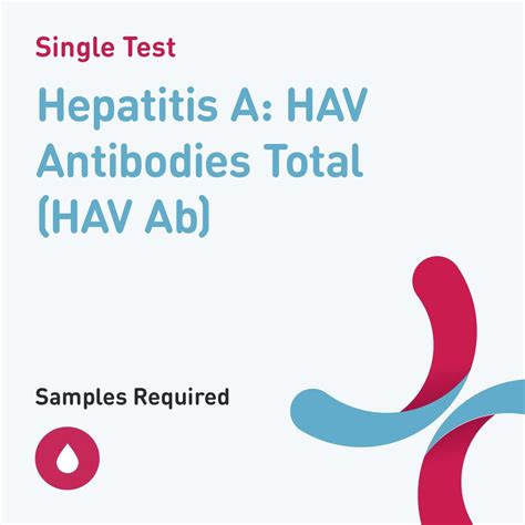 hepatitis a total antibody
