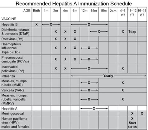 hepatitis a vaccination schedule