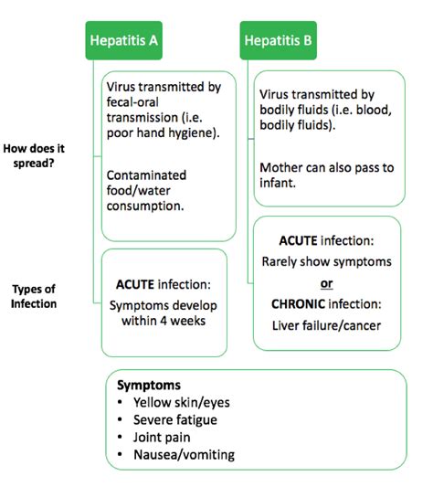 hepatitis a vs hepatitis b