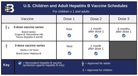 hepatitis b vaccine schedule for travel