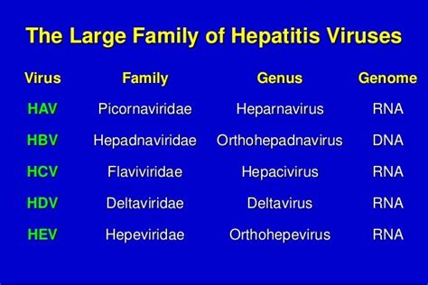 hepatitis d virus family