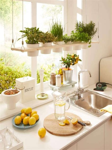 Discover The Magic Of Herbs In Your Kitchen