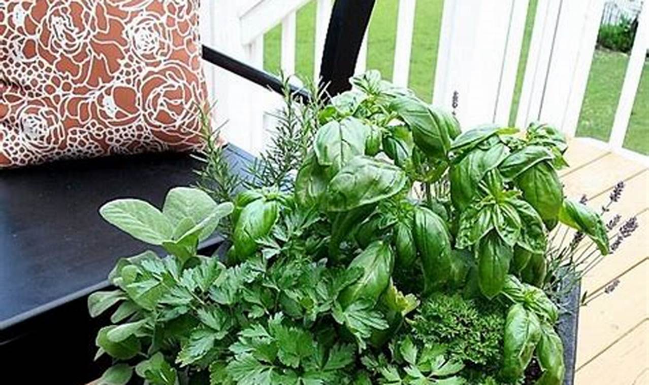 Unveil the Secrets of Herb Container Ideas: A Journey to Culinary Delights