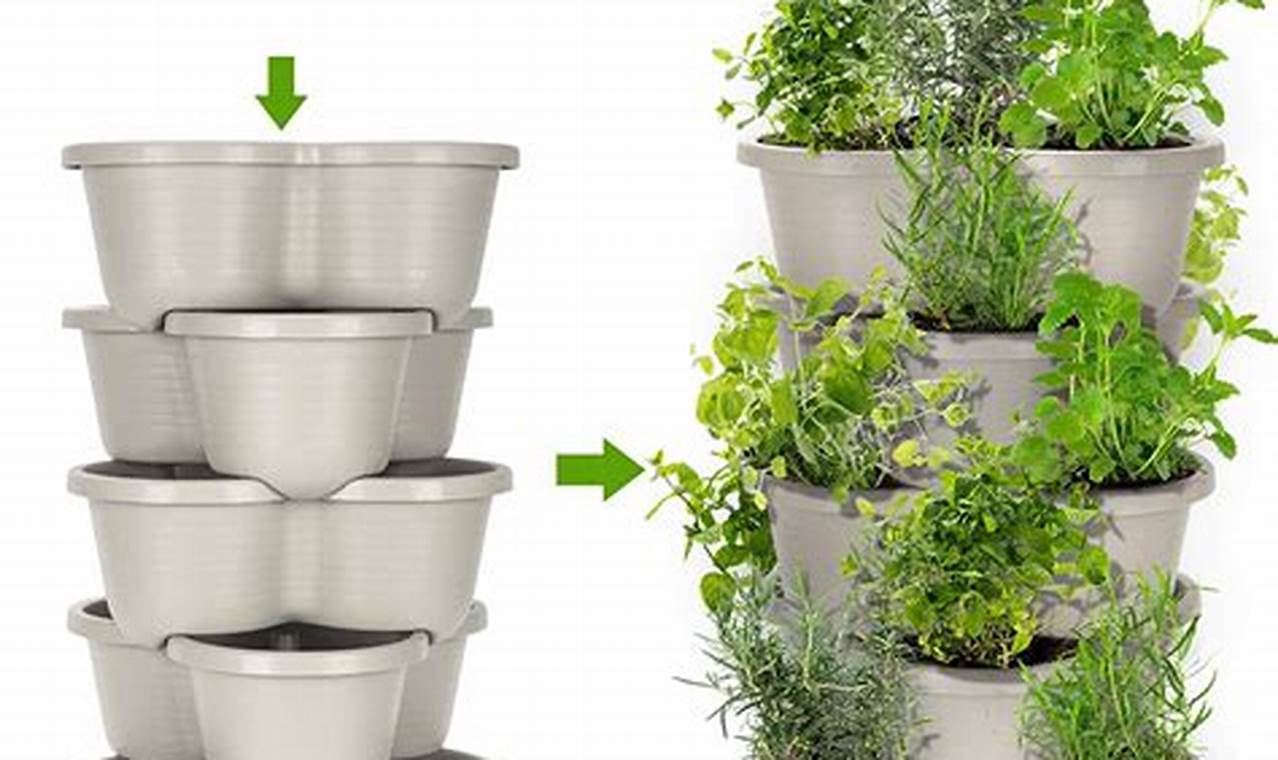 Unveiling the Secrets of Herb Gardening with Amazon: Discoveries and Insights Await