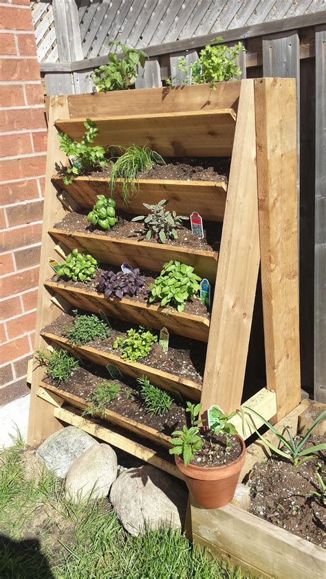 Designing A Herb Garden Planter Box For Your Home Garden