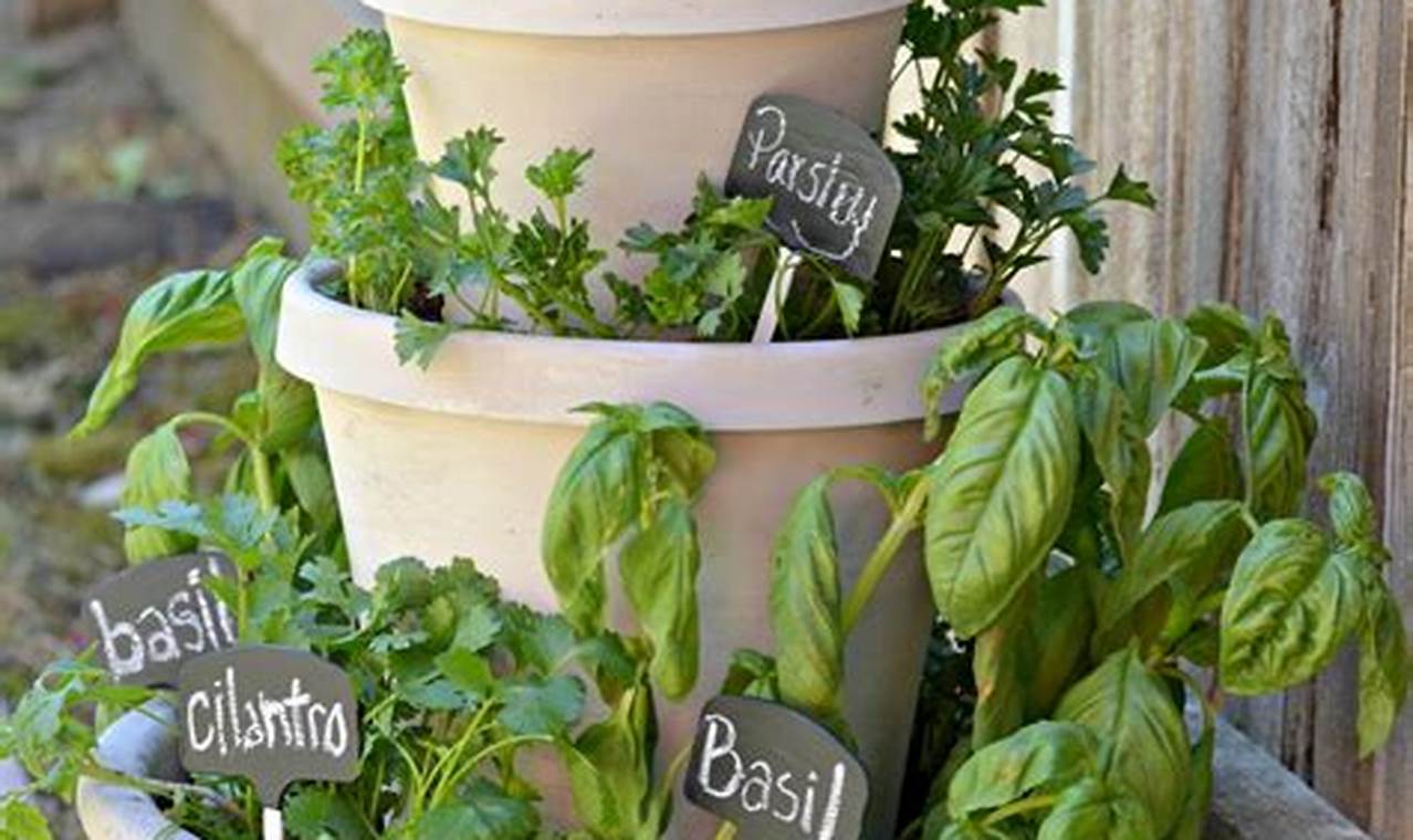 Unlock the Secrets of Herb Garden Pots: A Journey of Discovery