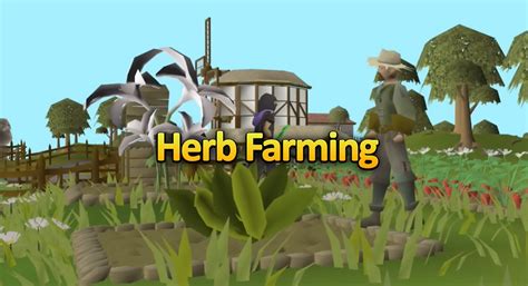 Herb Farming Osrs
