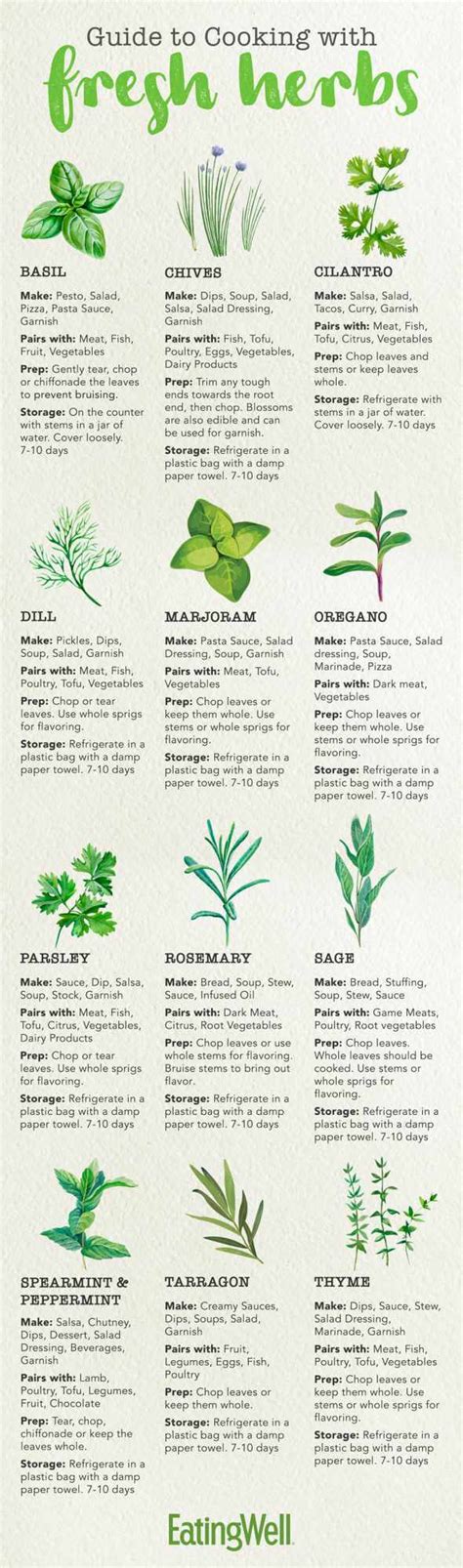 Herb Food Guide