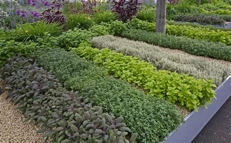 herb garden flower bed