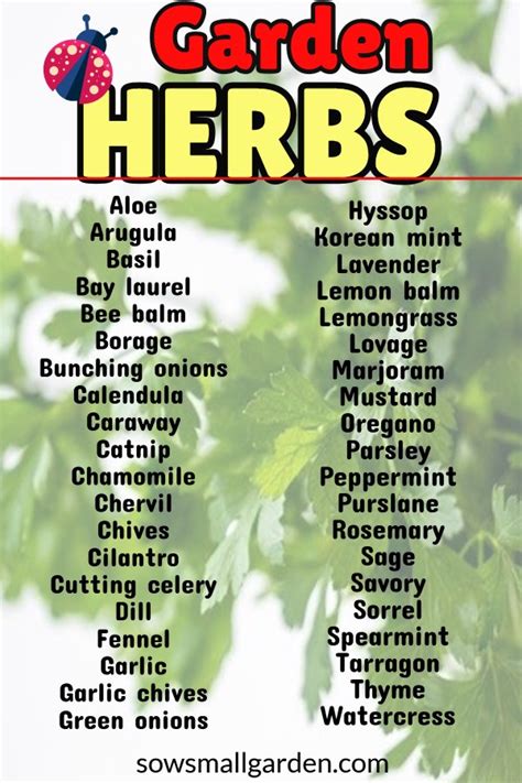 Herb Garden List