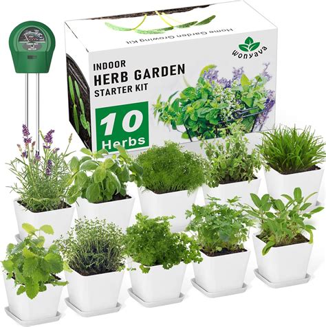 Herb Growing Kit