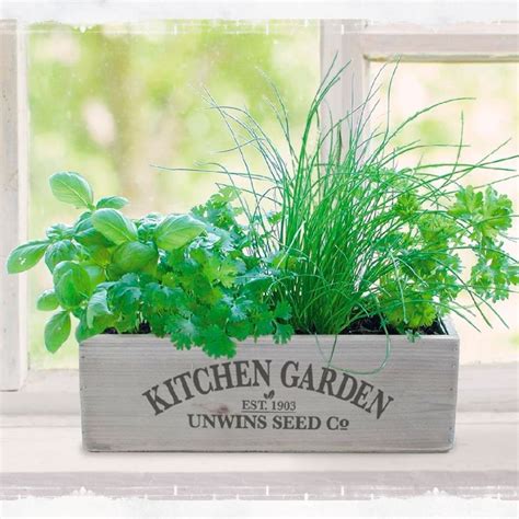 herb kitchen garden kit