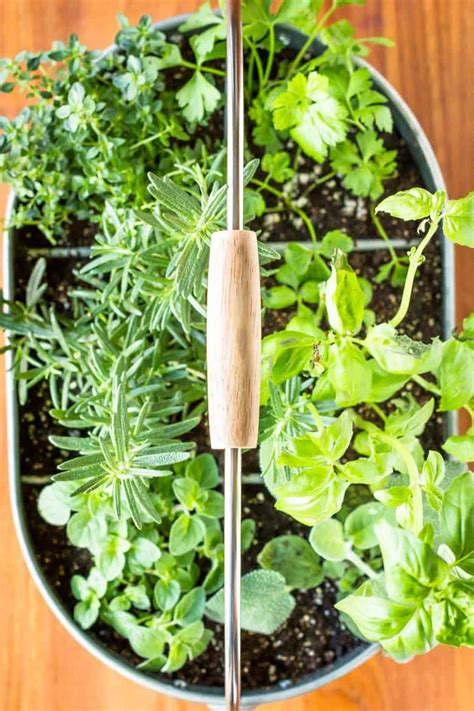 Herb Planter: The Perfect Addition To Your Garden This Year