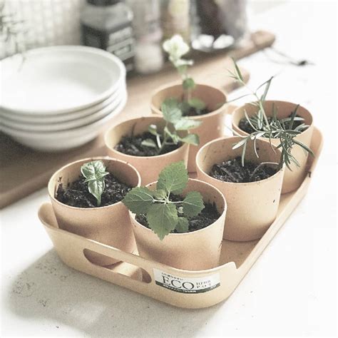 Herb Pot Set With Tray