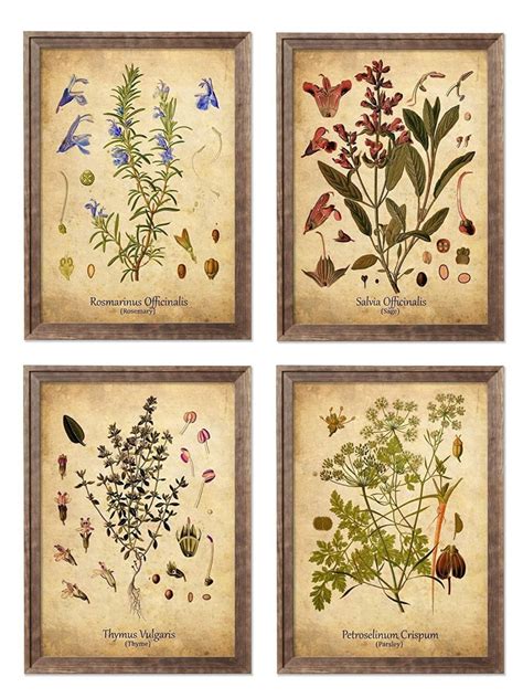 Herb Set Art Prints