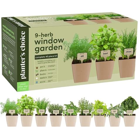 herb starter kit seedlings for sale