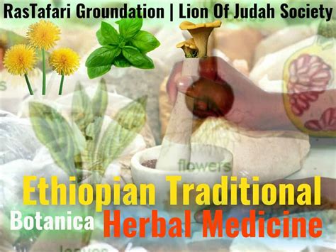 herbal medicine in ethiopia