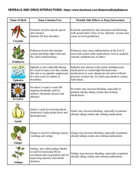 Herbal Supplements And Medication Interactions