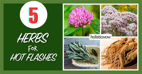 Herbal Tinctures For Hot Flashes